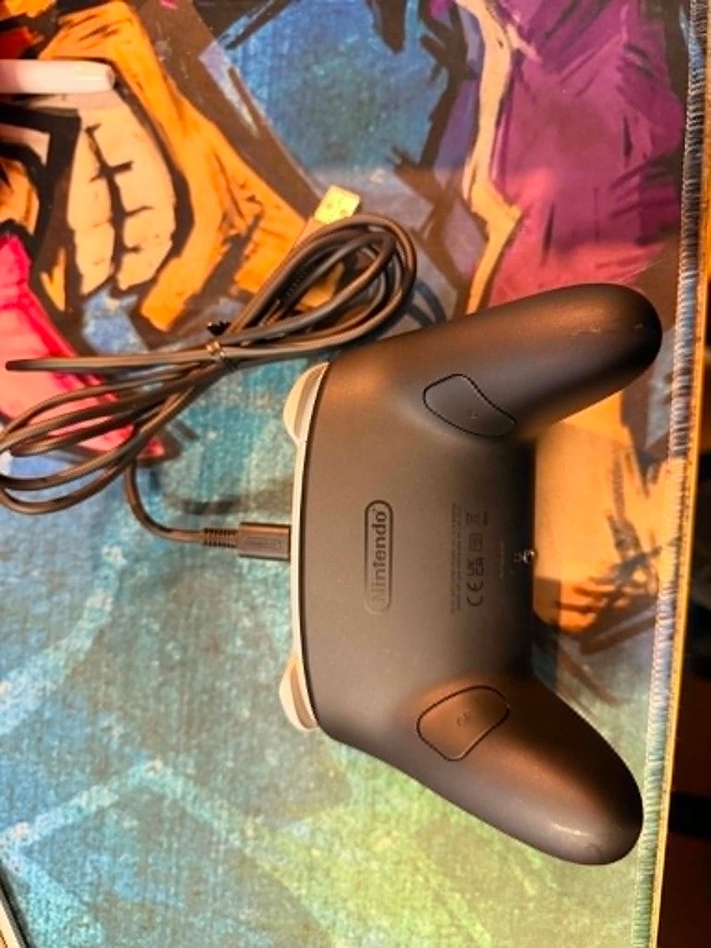 Nintendo Controller: Nintendo Switch 2 Pro Controller – Usato da Giubiasco venduto da Ticinerd 1