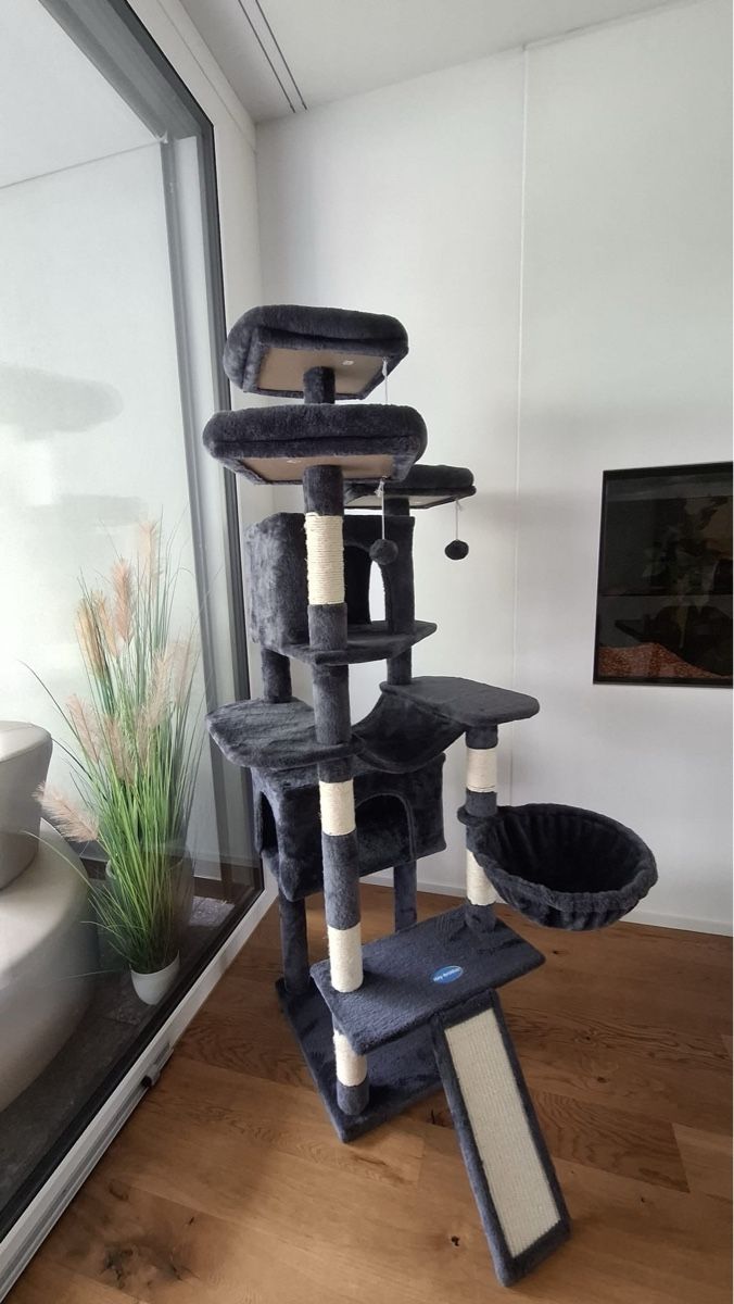 Tiragraffi: Kratzbaum rauchgrau – Usato da Sursee venduto da aur_75qq