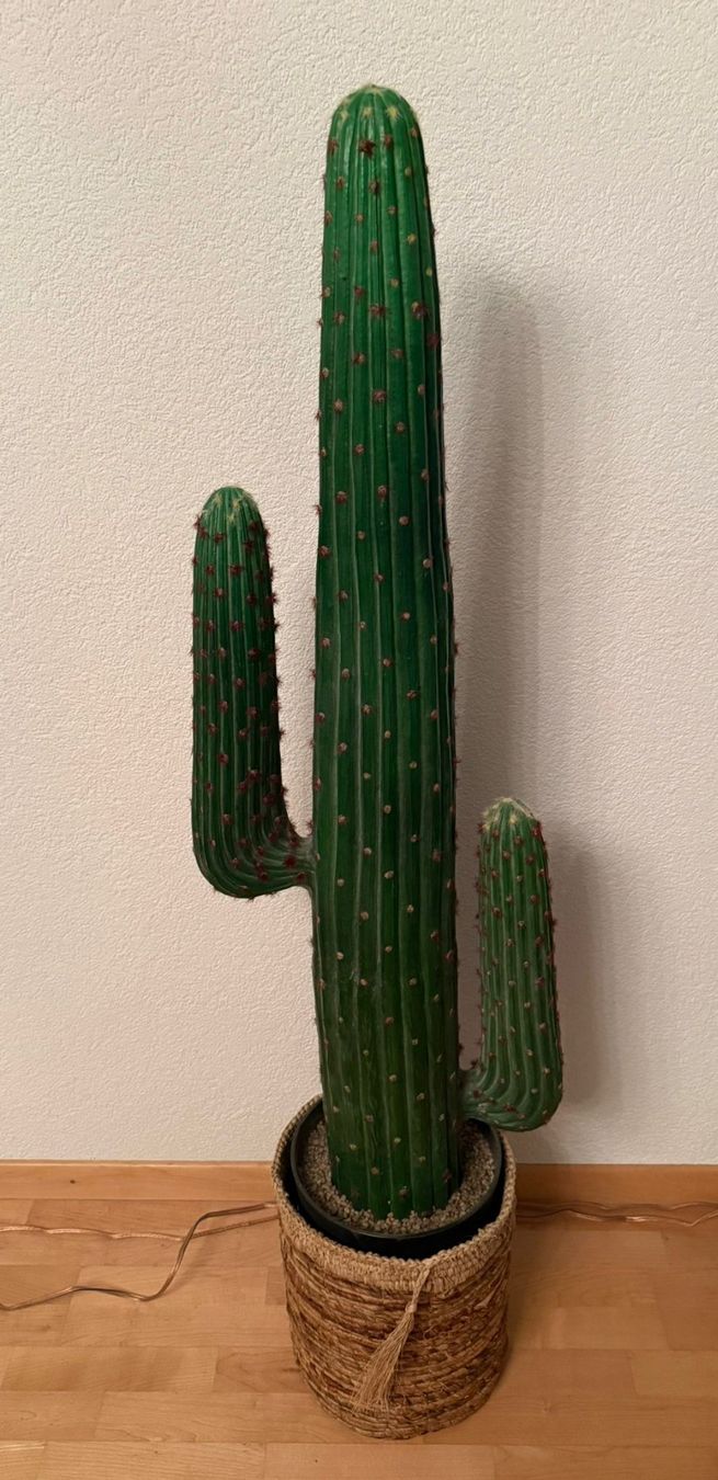 Plantes & graines: Kunst Kaktus – D'occasion à Altstätten SG par jas_s9fk 1