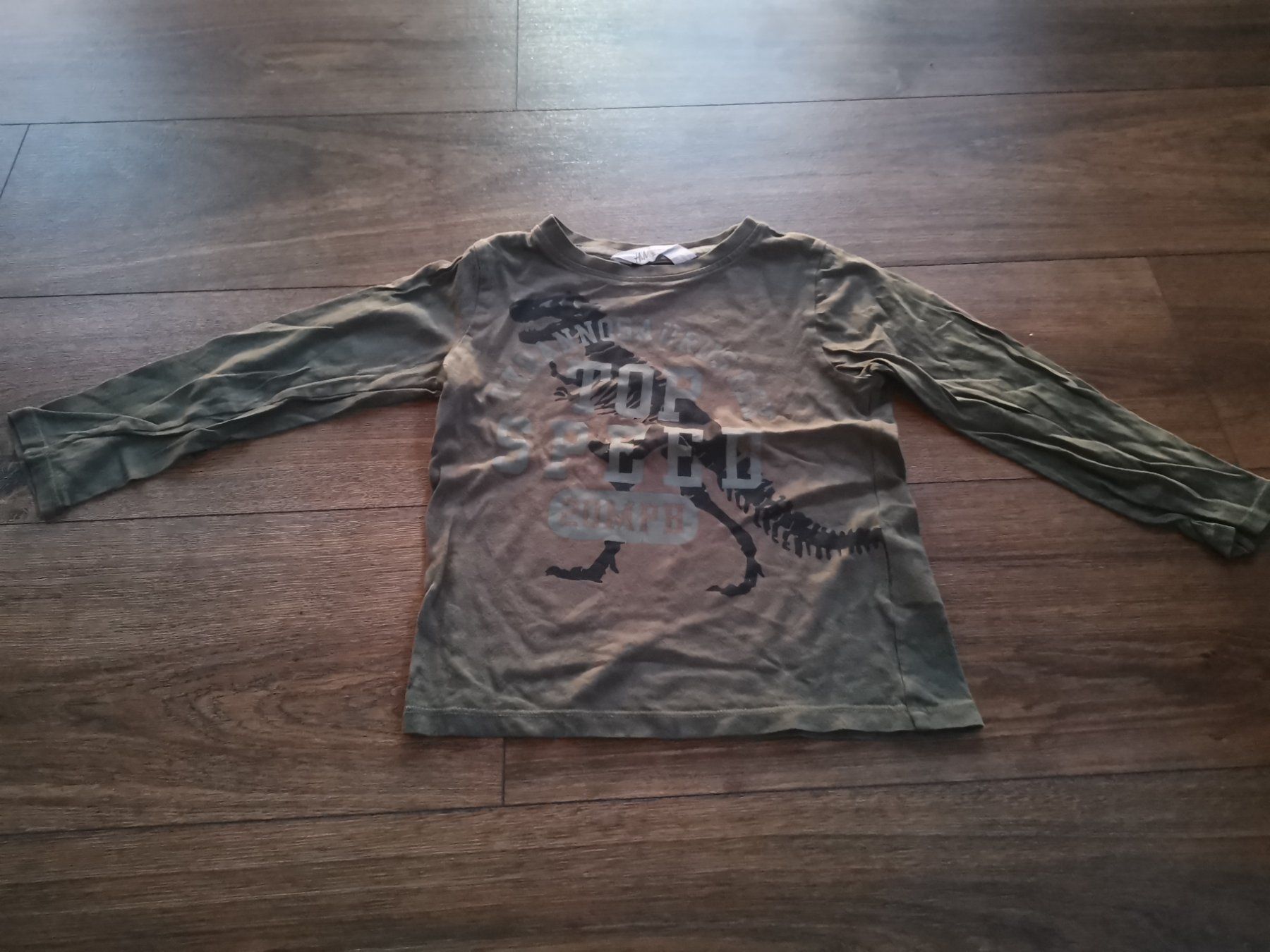 H&M Maglioni & Felpe: H&M Pullover 98/104 Dinosaurier – Usato da Fankhaus (Trub) venduto da sun_7677