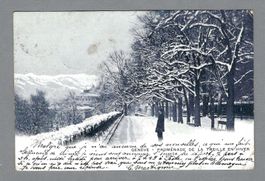 1902, GENÈVE, PROMENADE DE LA TREILLE EN HIVER