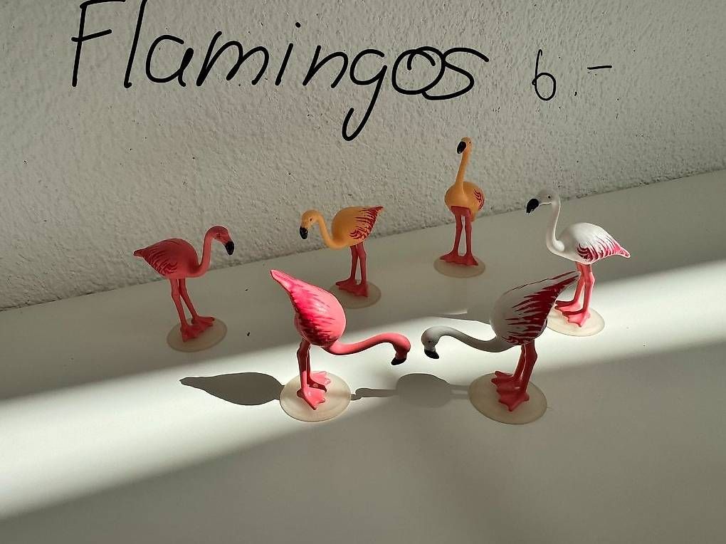 Giocattoli: Playmobil Flamingos  – Usato da Untersiggenthal venduto da Mannino
