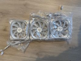 Enermax PC Fan RGB White 3-Pack