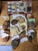 Diverse Mineralien aus Südaustralien, darunter auch Gold