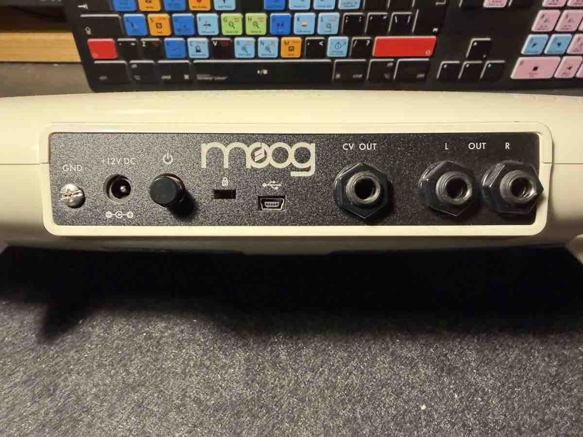 Moog Strumenti musicali: Theremin Moog Theremini – Nuovo (secondo la descrizione) da fey venduto da Caductilometre 2