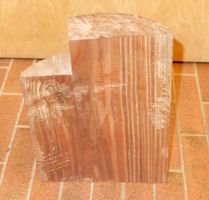 Lignum Vitae, Pockholz