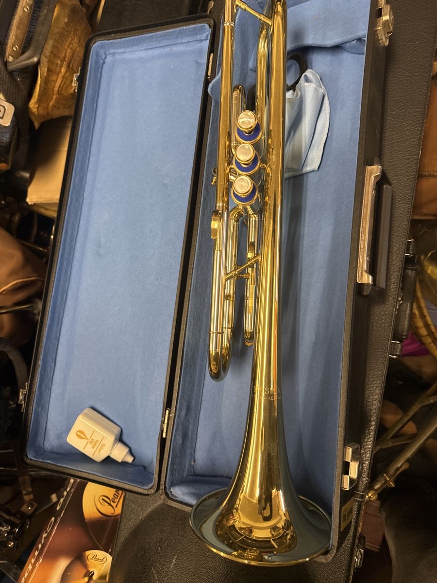 Strumenti musicali: Musica steyr austria  – Usato da Strengelbach venduto da HeidiHeidi09 1