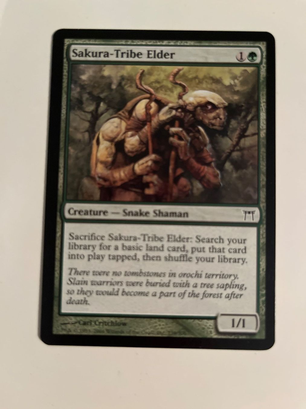 Magic The Gathering Carte collezionabili: 1 x Sakura-Tribe Elder - Magic: The Gathering - MtG – Usato da Kriens venduto da Shadi1980