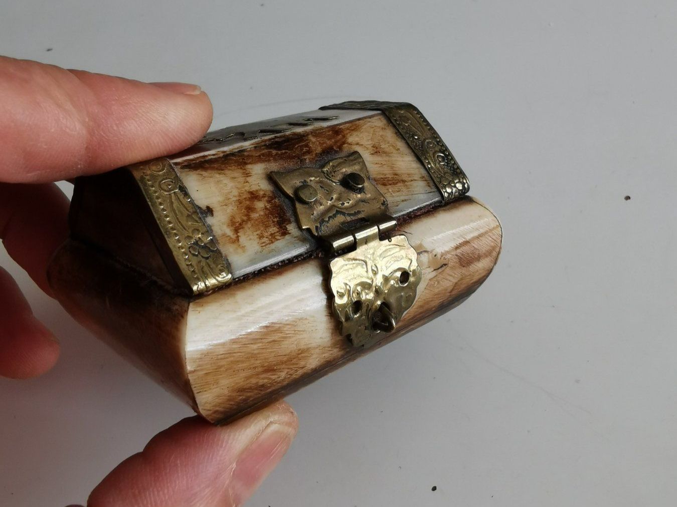 Tutte le decorazioni: Dose mit Elefant antik Horn und  Messing – Usato da Oberglatt ZH venduto da JulFul 2