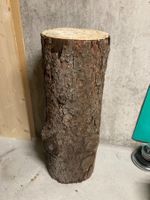 Baumstamm für Nagelspiel