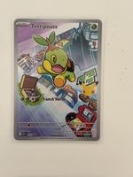 Carte Pokémon TORTIPOUSS mep 040