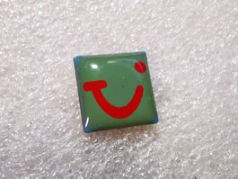 Ansteckpin 127: Tui