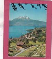 Weggis Hertenstein mit Pilatus 1981