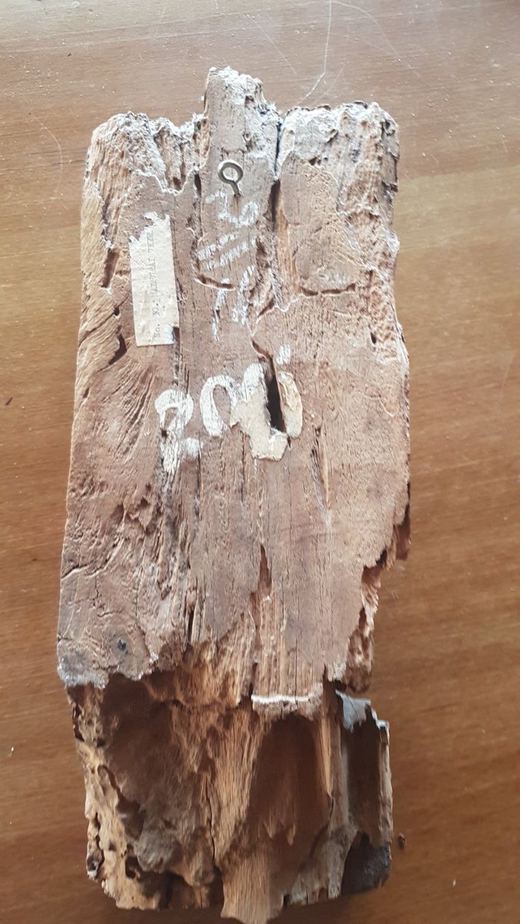 Skulpturen & Statuen: Antike Siamesisch Holz Skulptur – Gebraucht aus Röschenz von Zorro046 1