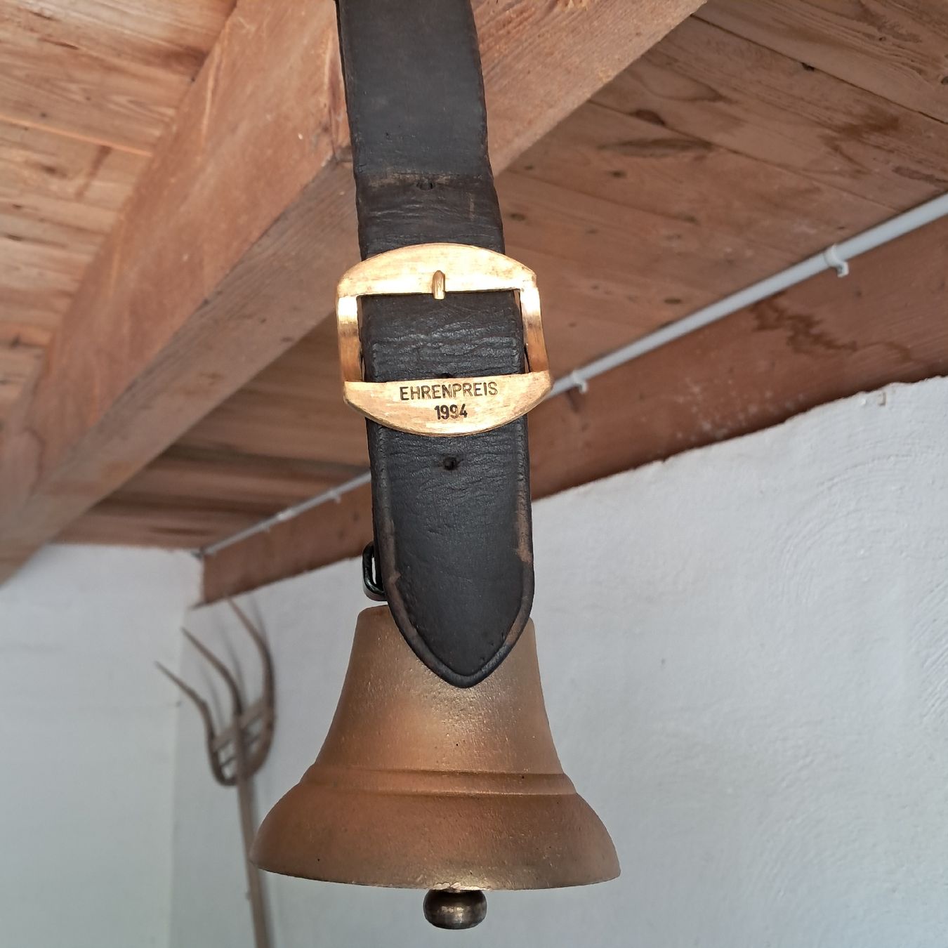 Cloches & sonnailles: Schöne Glocke 1994 – D'occasion à Murten par SHETHOF 1