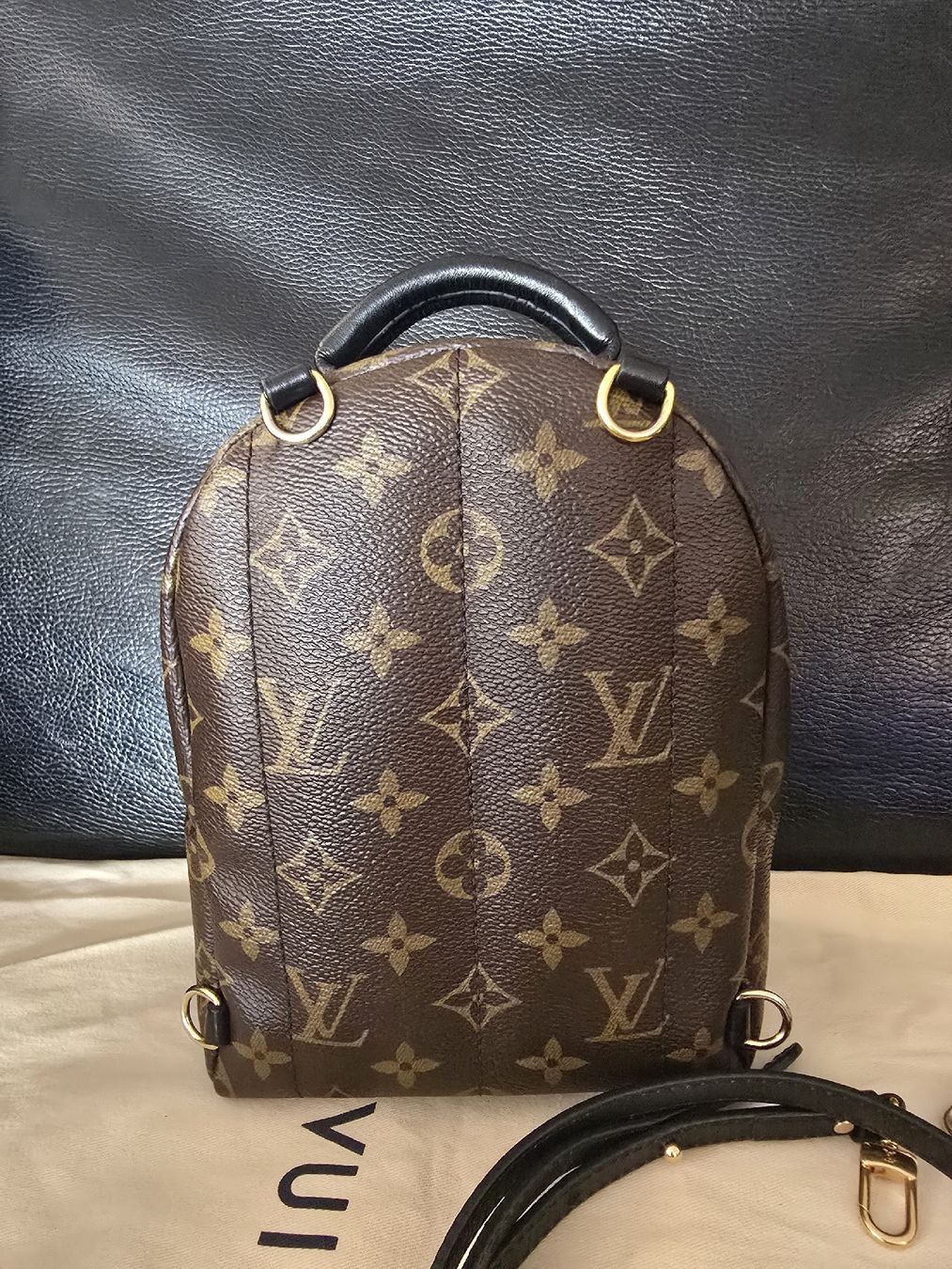 Louis Vuitton Taschen: Louis Vuitton M44873 Palm Springs Mini – Gebraucht aus Gattikon von lavric_d 1