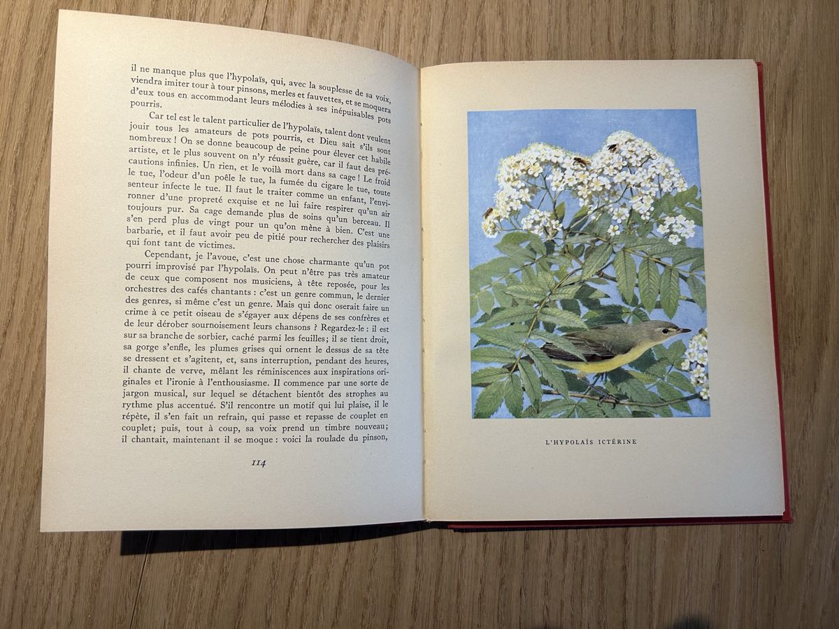 Libri: Nos oiseaux Rambert Robert 1951 illustré couleur – Usato da Lausanne venduto da TelmaLouise70 3
