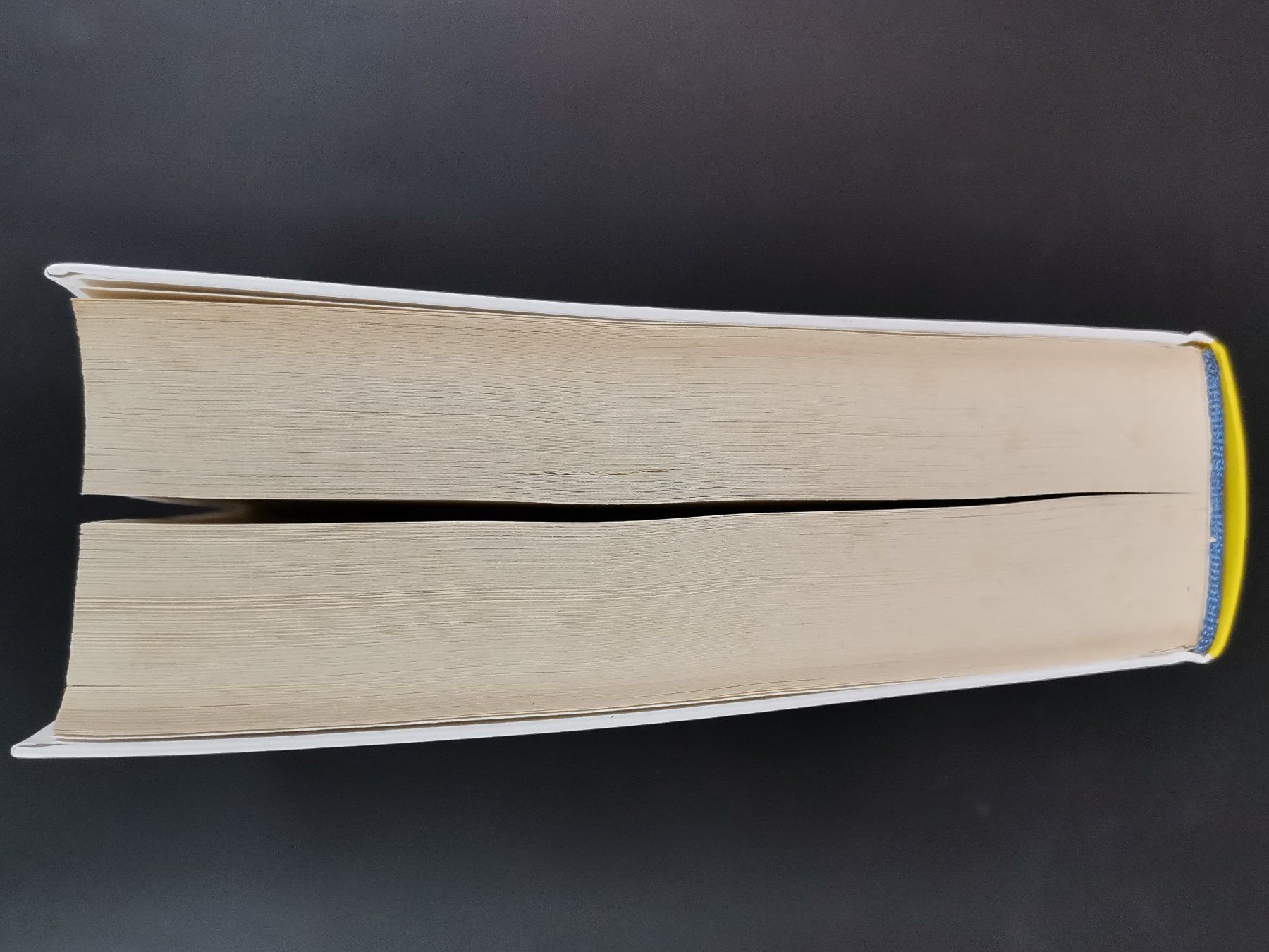 Libri: BUCH Fettarm leben – Usato da Schaffhausen venduto da Restwert_SH 5