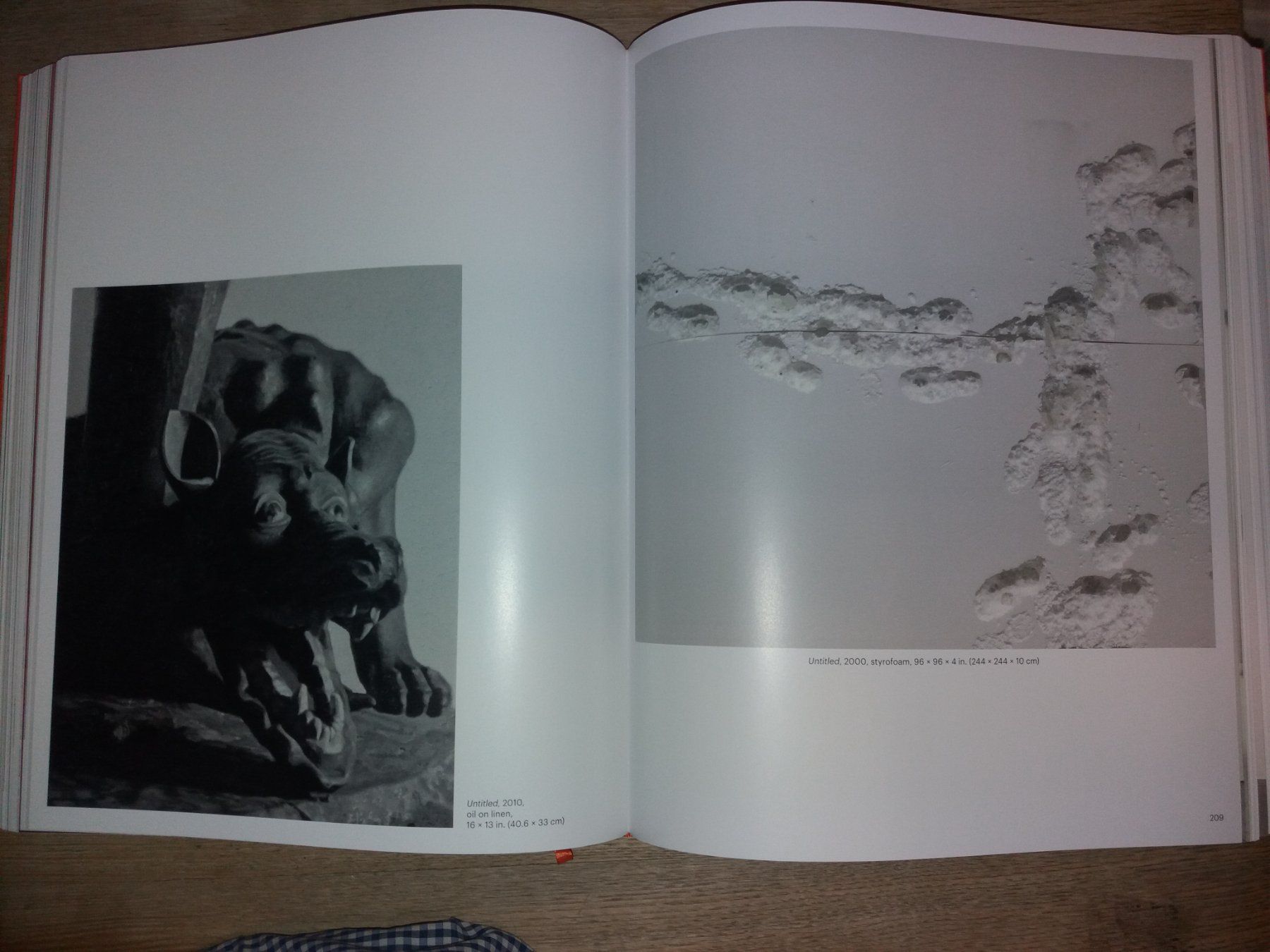 Livres: KUNSTKLASSIK Rudolf Stingel – D'occasion à Welschenrohr par Regool 3