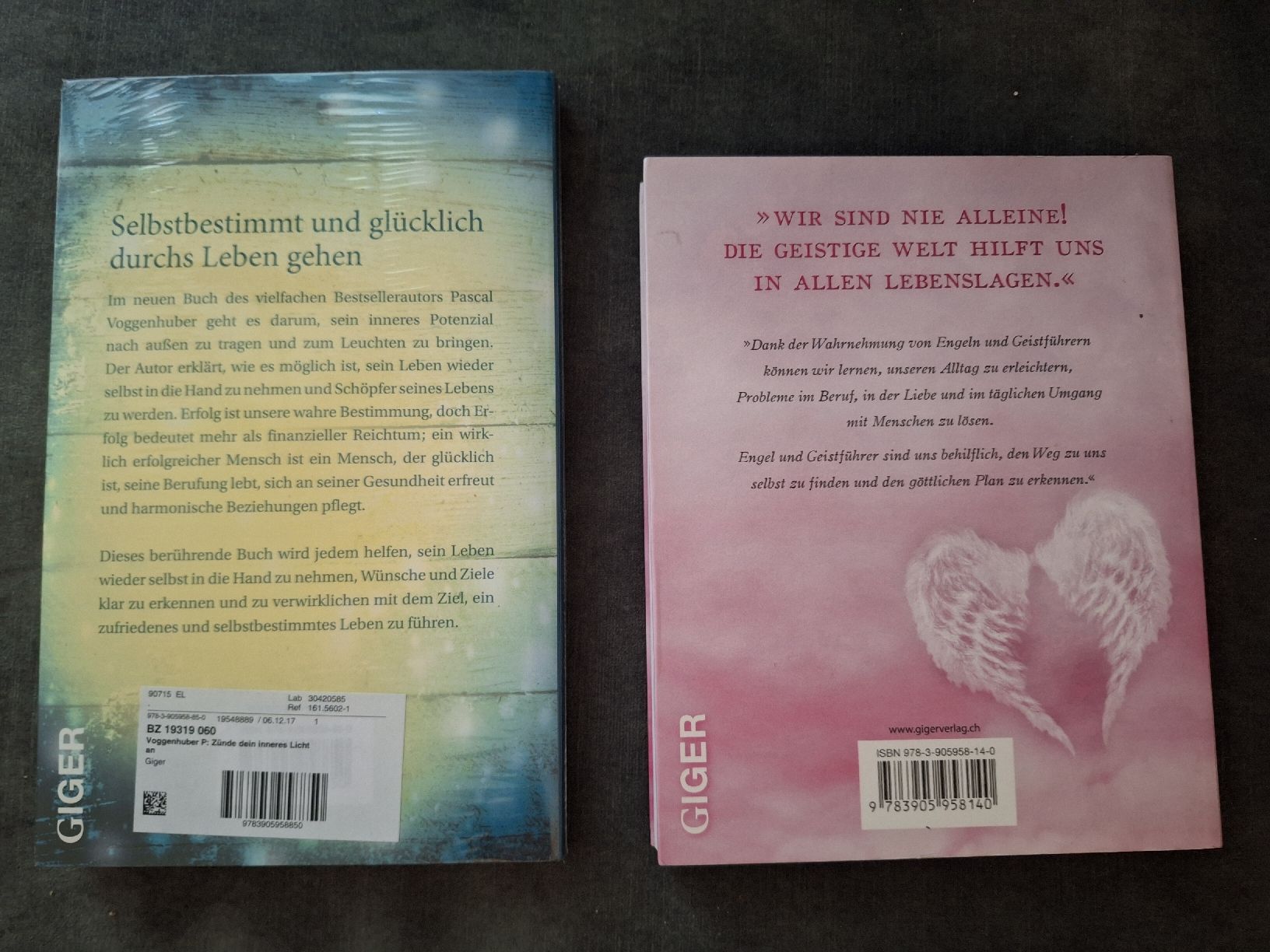 Livres: pascal voggenhuber bücher – Neuf (Voir description) à Marthalen par Flowy78 1