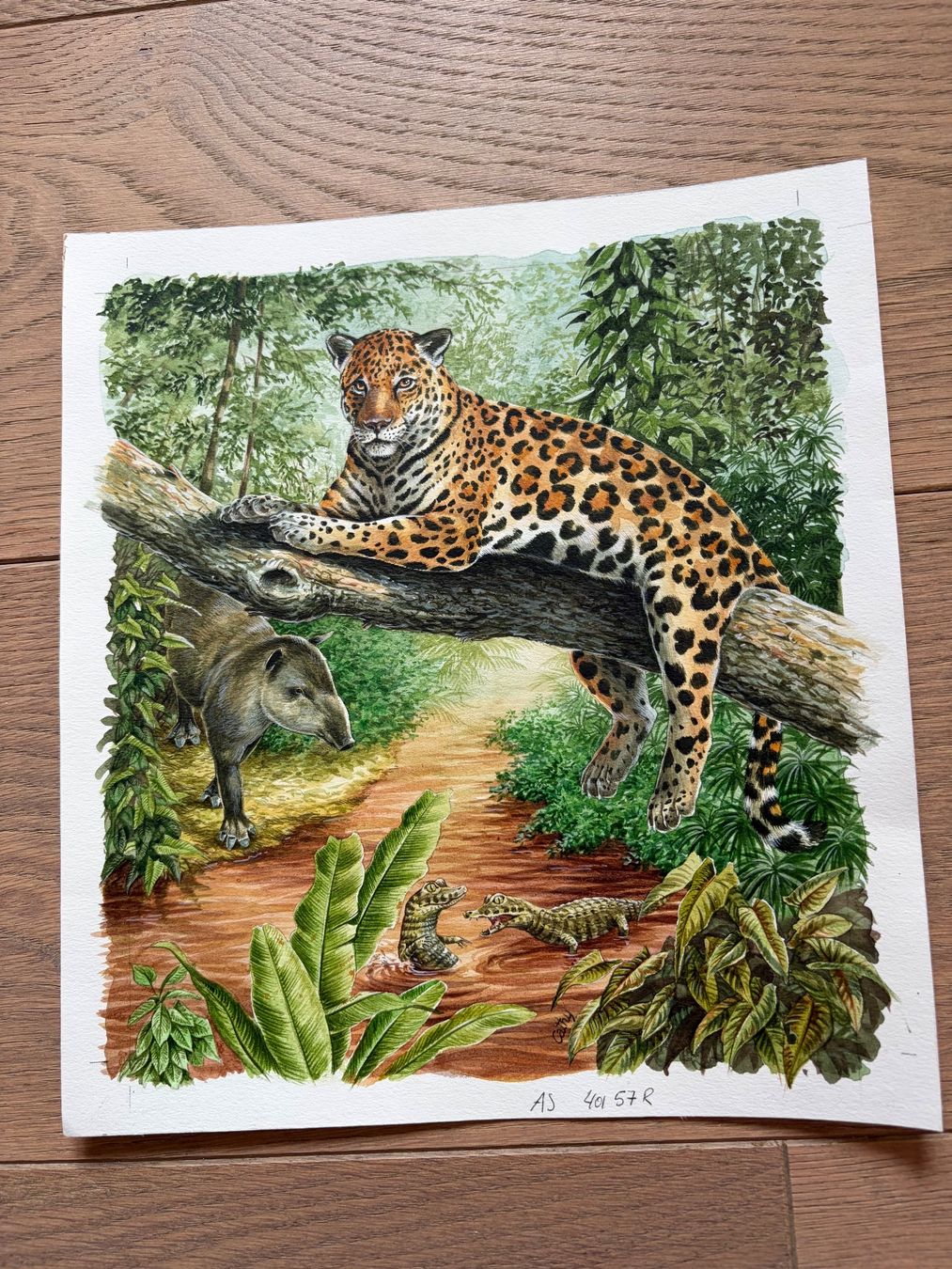 Dipinti: Original Bild Jaguar, handgemalt – Usato da Versoix venduto da chr_2rpz