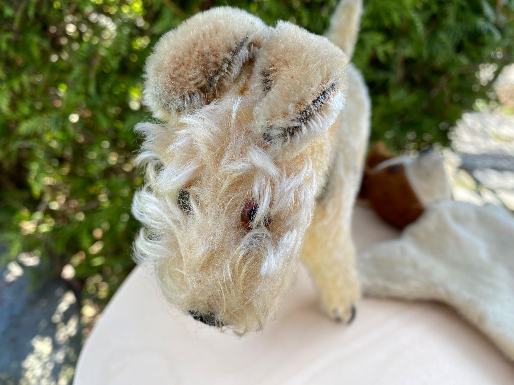 Giocattoli: antiker Terrier und Handpuppen-Hund – Usato da Feldbach venduto da Olive1 6