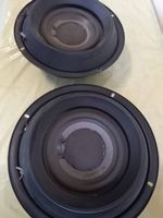 Electro Voice NGR Mittelton