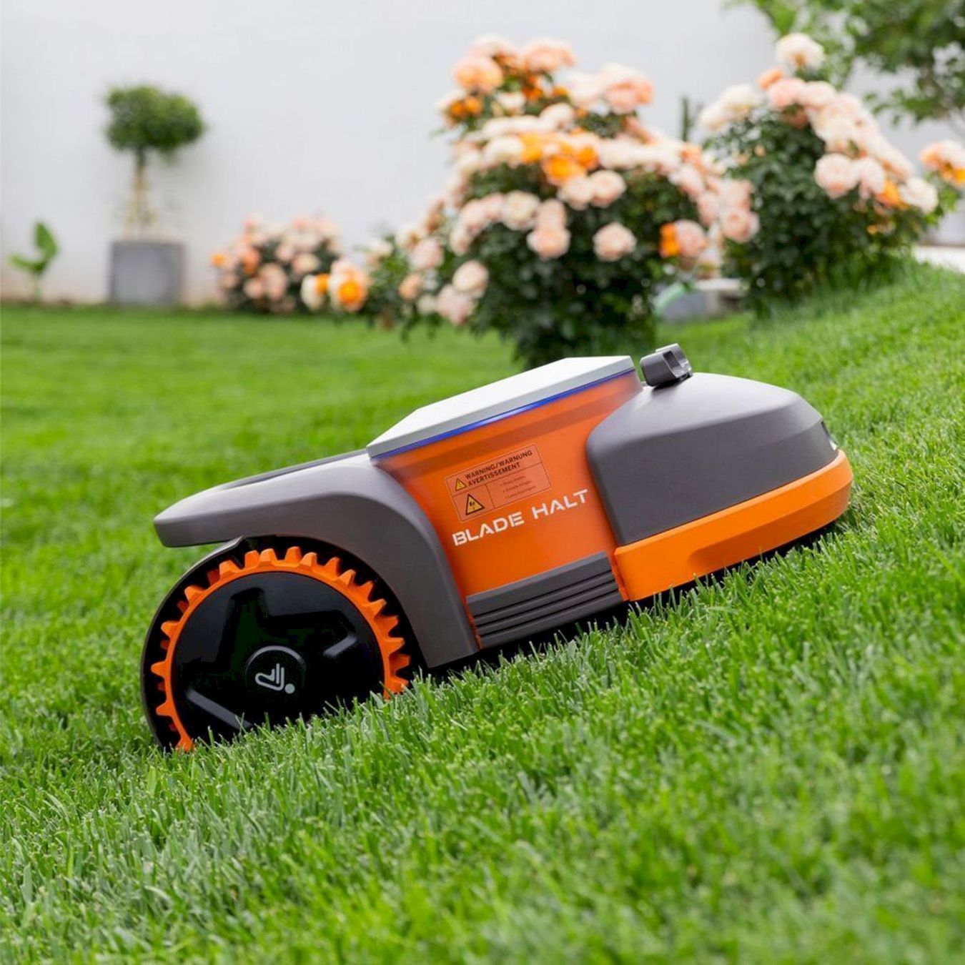 Tagliaerba: Segway Navimow H800E-VF GPS-Mähroboter – Nuovo e nell'imballaggio originale da Bottighofen venduto da zaap 2