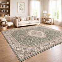 -50% 🔥🔥‼️ Teppich Wohnzimmer XXXL 240x340