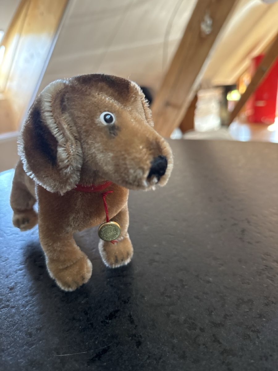 Teddy Hermann Giocattoli: Original Dackel Hermann Teddy Vintage – Nuovo (secondo la descrizione) da Schmitten FR venduto da mantom 1