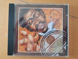 Beenie Man – Many Moods of Moses (CD, 1997)