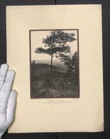 Fotografie Sulzbach a. d. Murr-Eschelhof