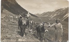 Landwirtschaft/Kuh-Fuhrwerk 1929 beim Pflügen - GR