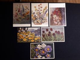6 AK BLUMEN AB URALT - KLENEN MANGELN