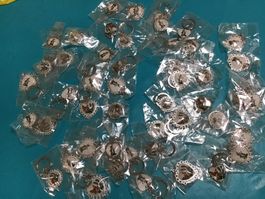 48 porte-clefs zootopie en métal