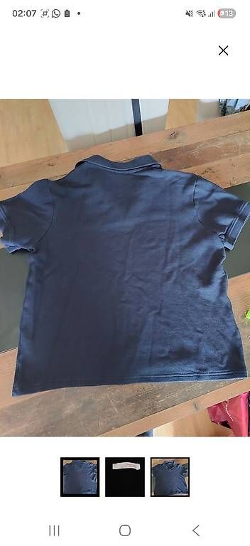 Camicette: Zara Polohemd blau L – Usato da Enggistein venduto da sar_b8hz 2