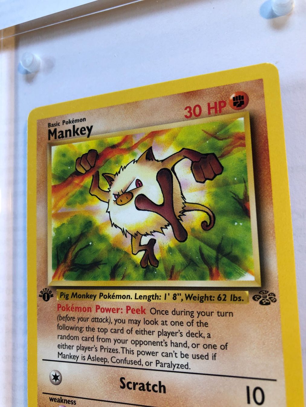 Cartes à collectionner: Mankey 1st Jungle - MINT - ab 1.- – D'occasion à Giubiasco par dan_pr8b 3