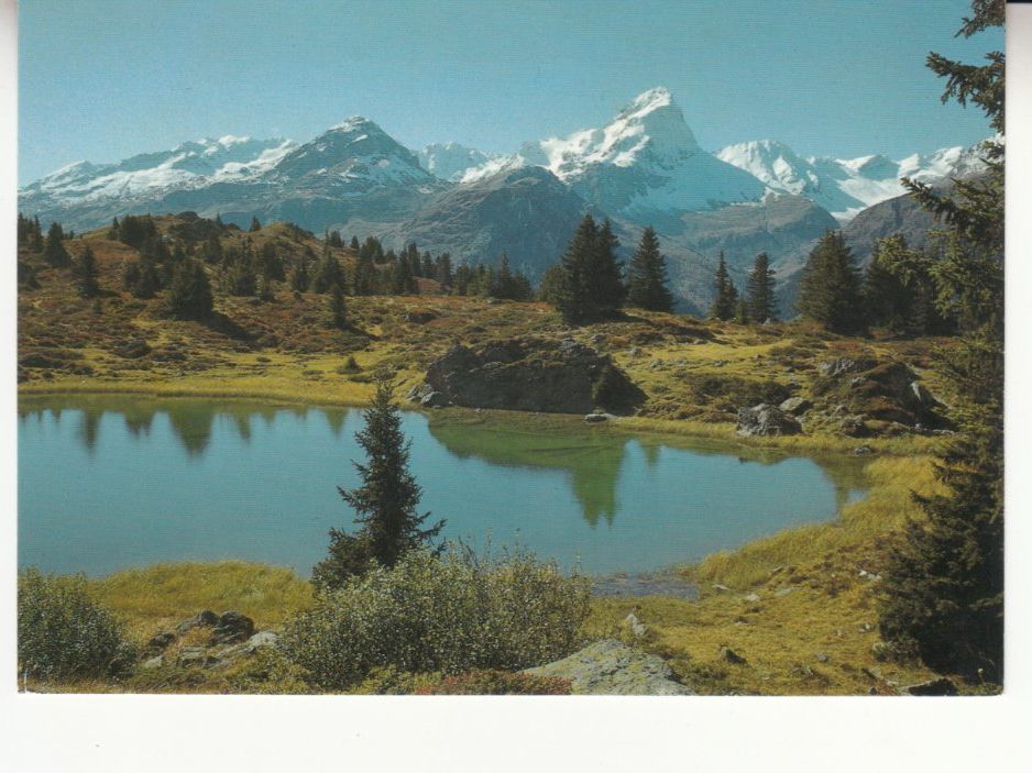 Cartoline postali: Alp Flix 2006 – Usato da Bürglen TG venduto da StampGraf