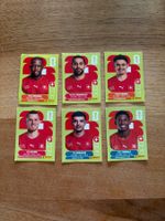 Panini Sammelbilder Fussball Schweiz 6 Spieler diverse