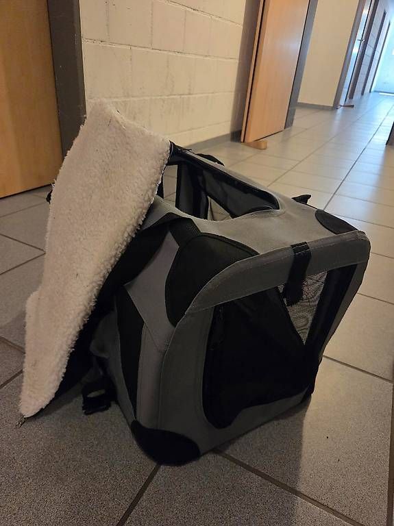 Gabbie, trasporto & Sicurezza: Hunde Transportbox  – Usato da Schwarzenbach venduto da Raffi440 3