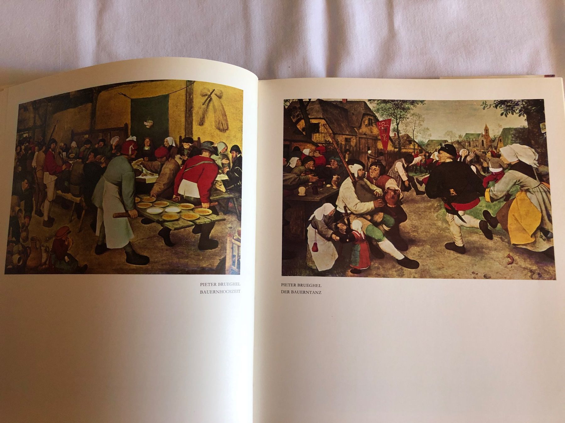 Libri: Buch Lebensfreude in Bildern – Usato da Wyssachen venduto da Hahe89 2