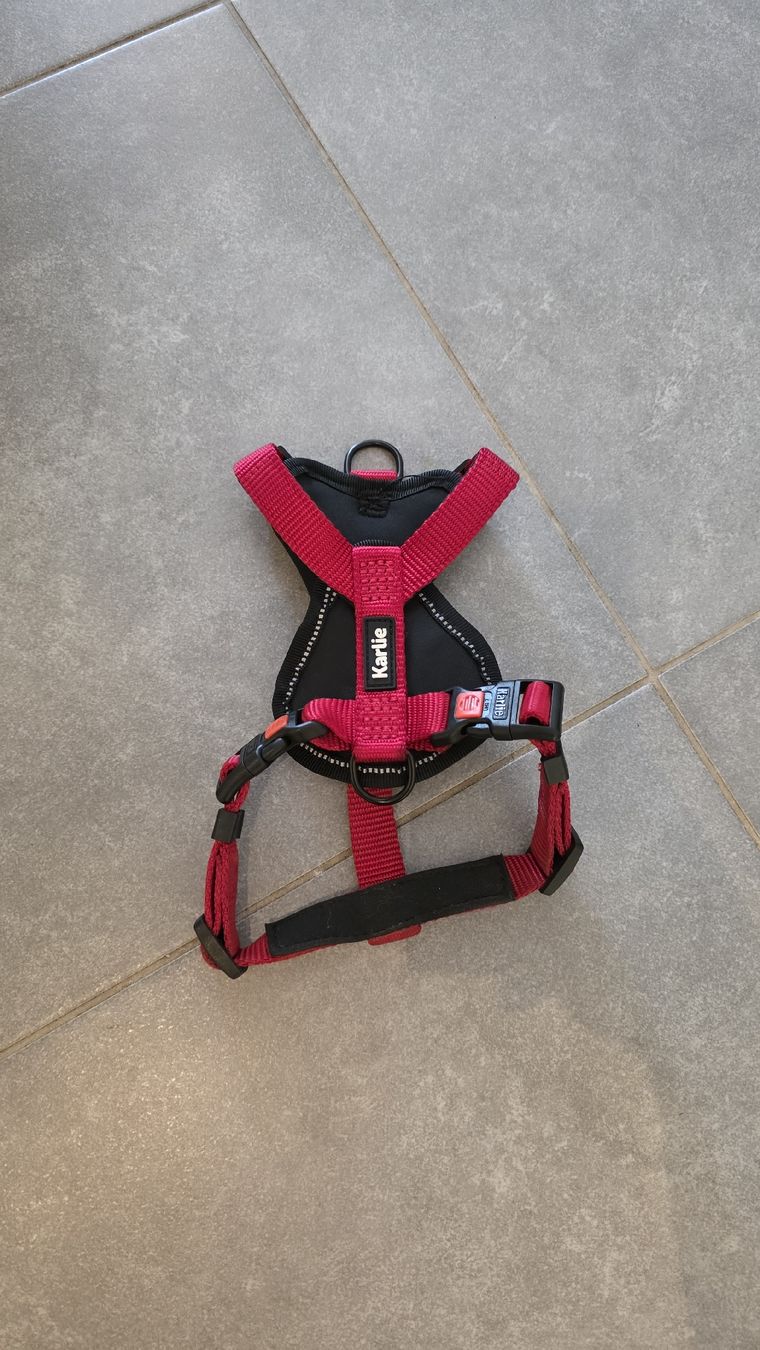 Attrezzatura da arrampicata: Harnais pour chien  – Usato da Fontainemelon venduto da ale_b865 1