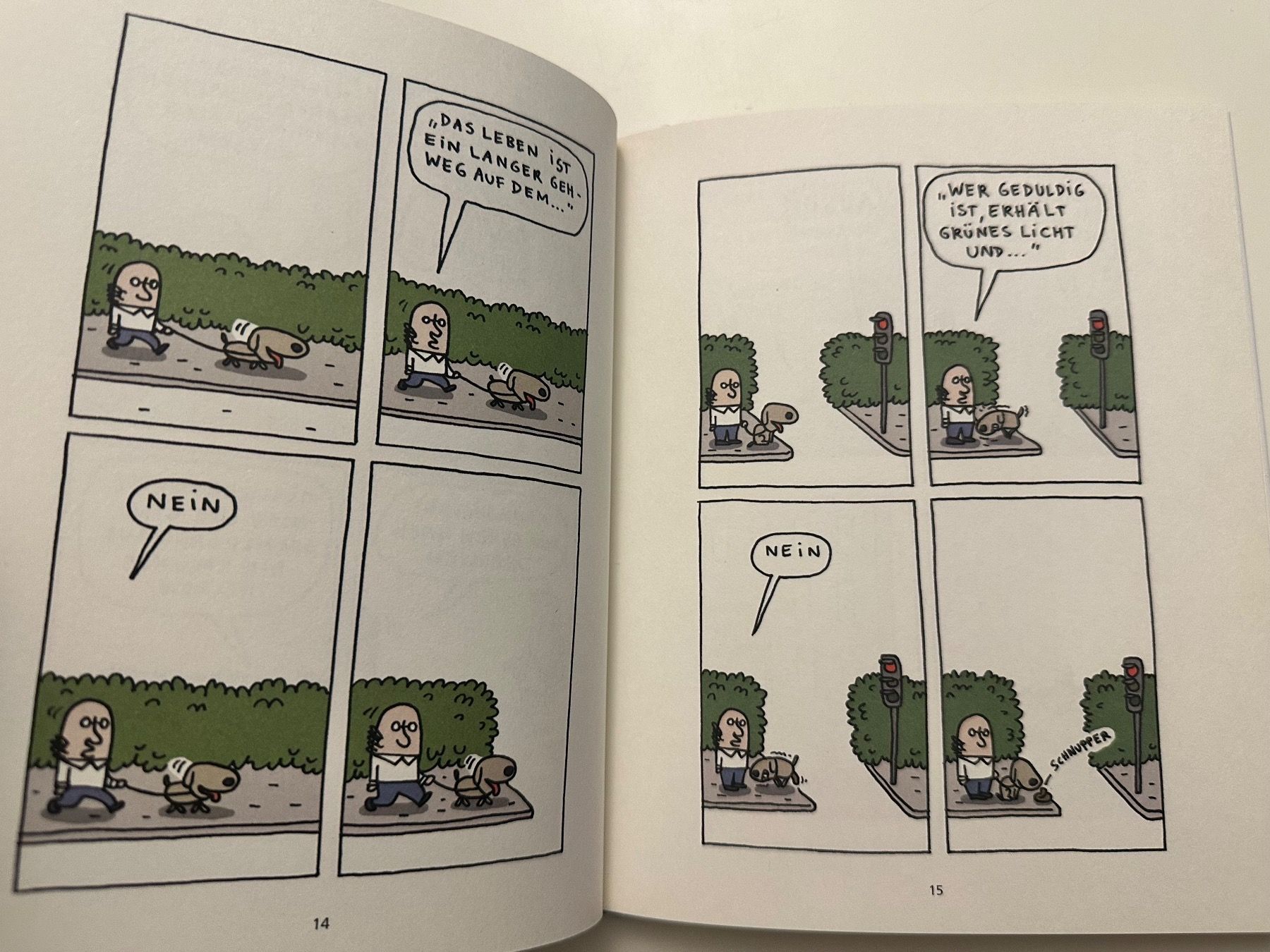 Fumetti: DIE JAGT NACH DER ZÜNDENDEN IDEE - LEONARD RIEGEL – Usato da Münsingen venduto da Ganjam 5