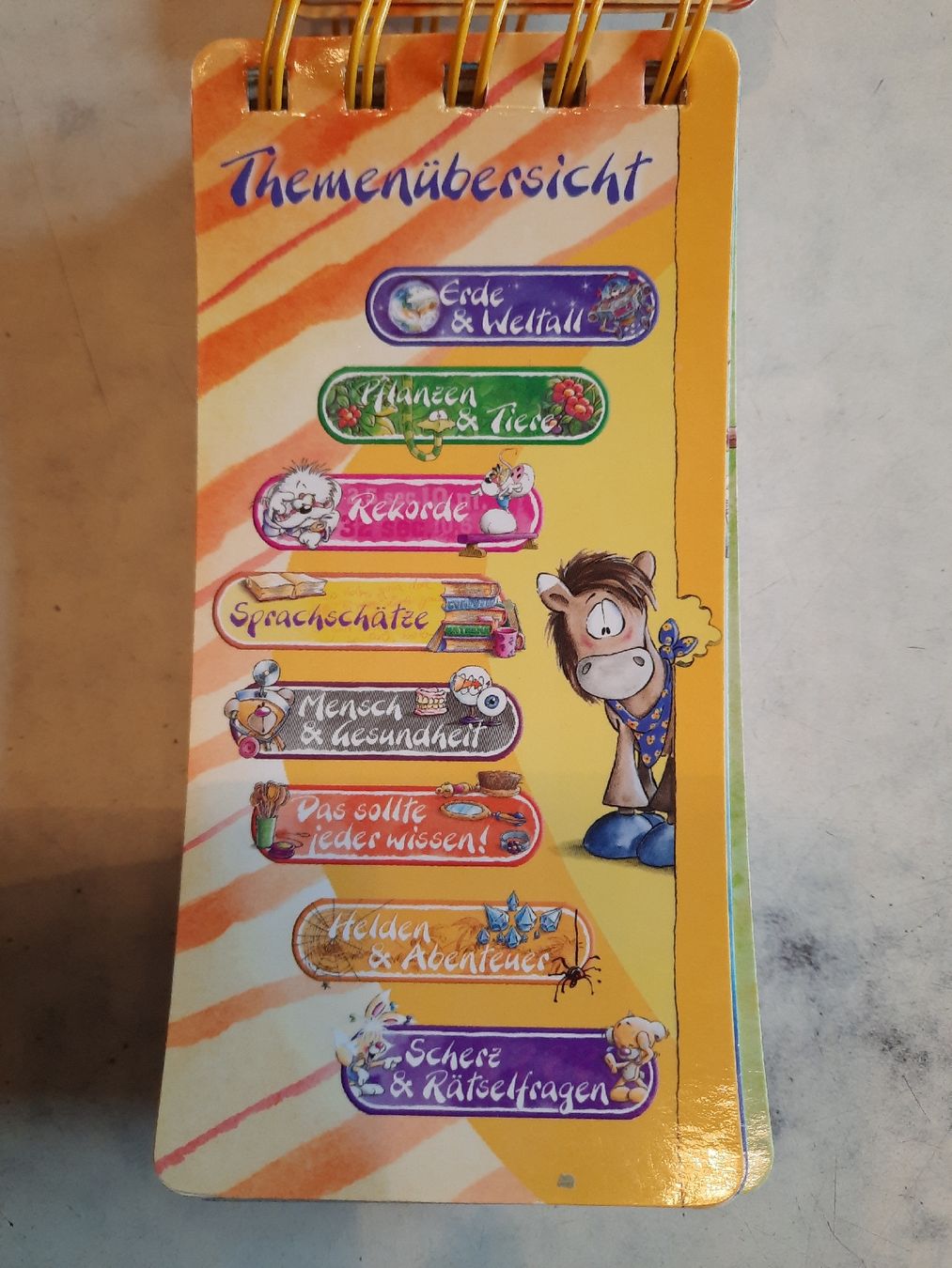 Spiele: Diddl Diddlinas Rätsel - Rate - Quiz – Gebraucht aus Nottwil von mar_jqm7 3