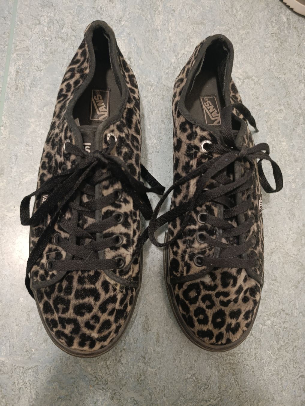 Vans Chaussures femmes: Vans Jaguar Sneaker – Neuf (Voir description) à Wald ZH par Eleona