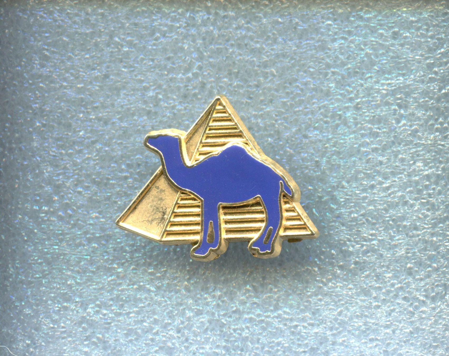 Camel Plaketten & Abzeichen: CAMEL – Gebraucht aus Winterthur von Sammleroase