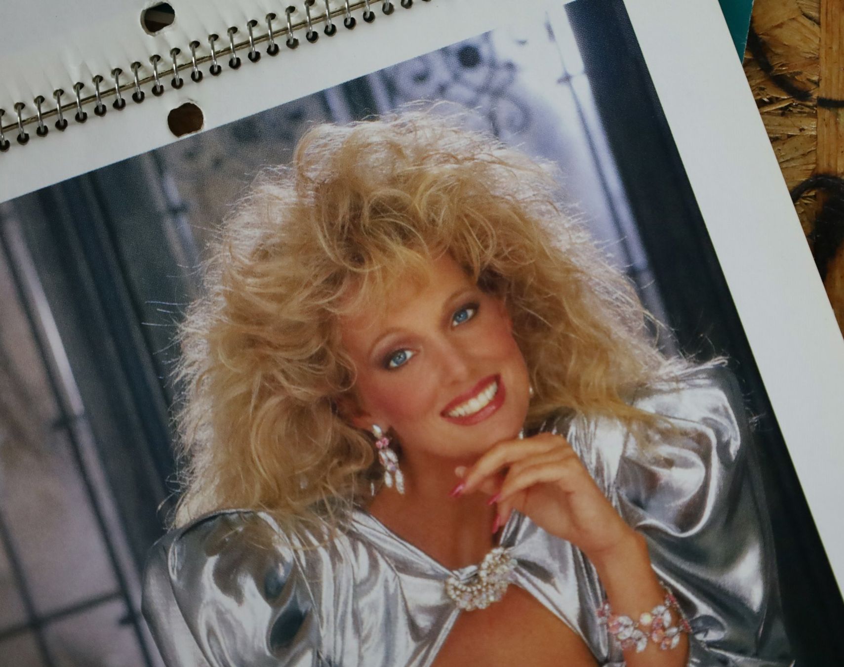Playboy Calendari: PLAYBOY Kalender 1987 – Usato da Birrwil venduto da brandschatz_birrwil 6