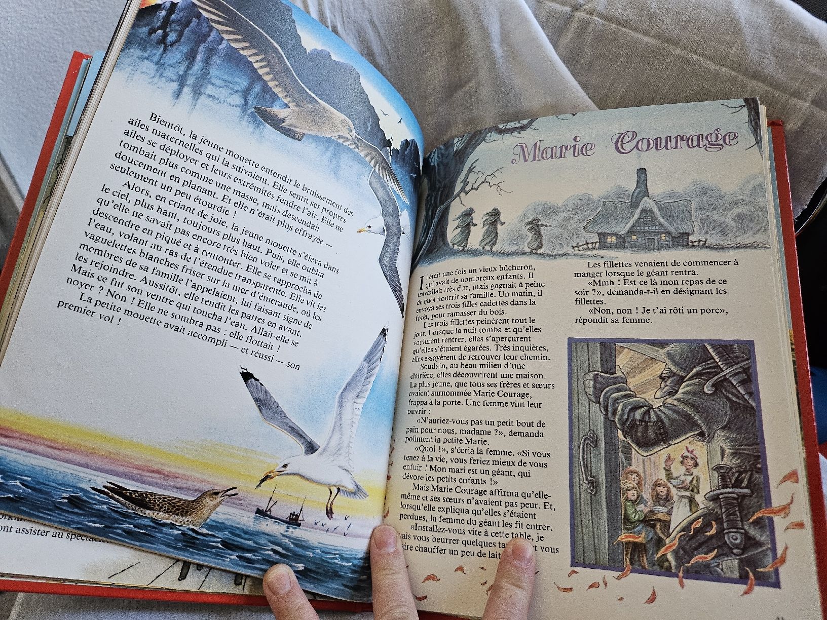 Bücher: Livre de contes pour enfants – Gebraucht aus La Joux FR von car_ck96 3