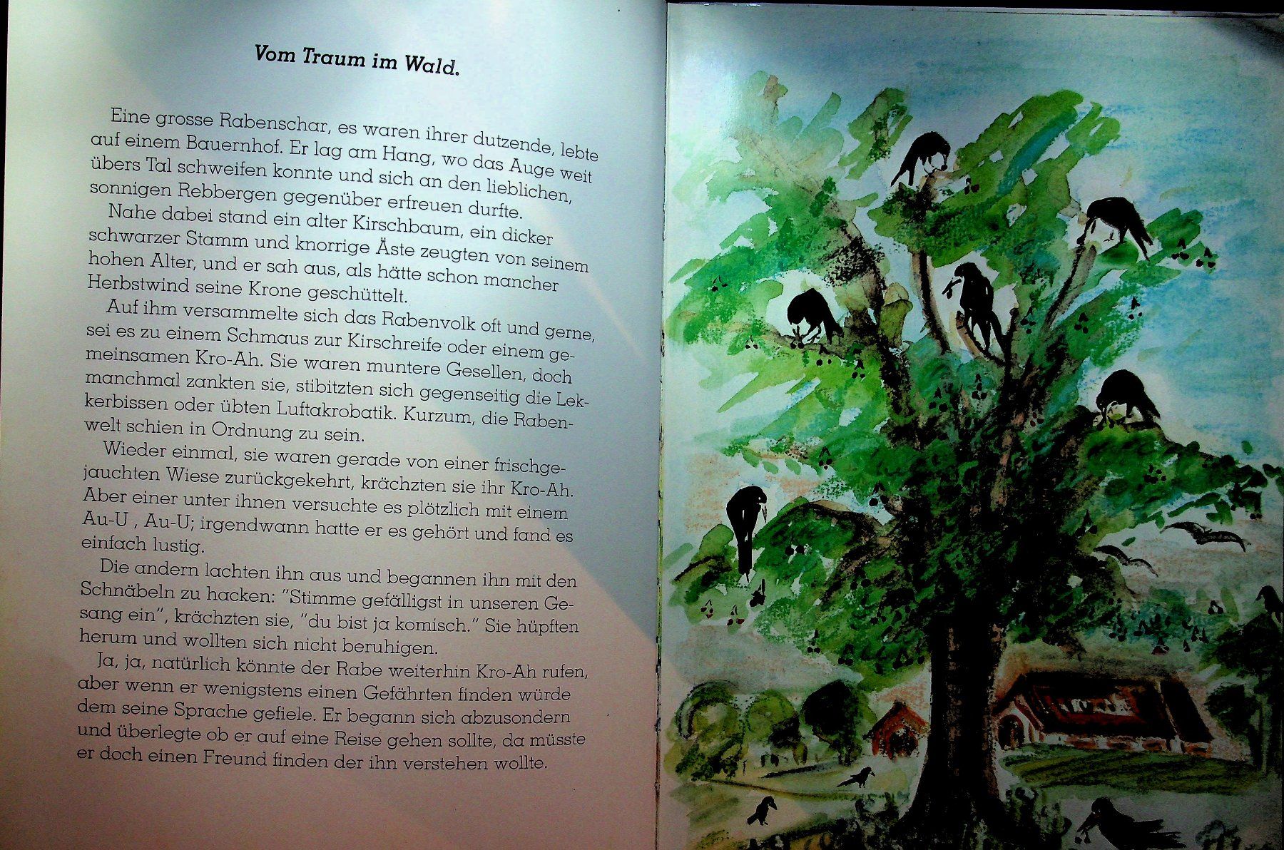Libri: Els Häusermann Vom Traum im Wald – Usato da Reitnau venduto da zao_6stq 3
