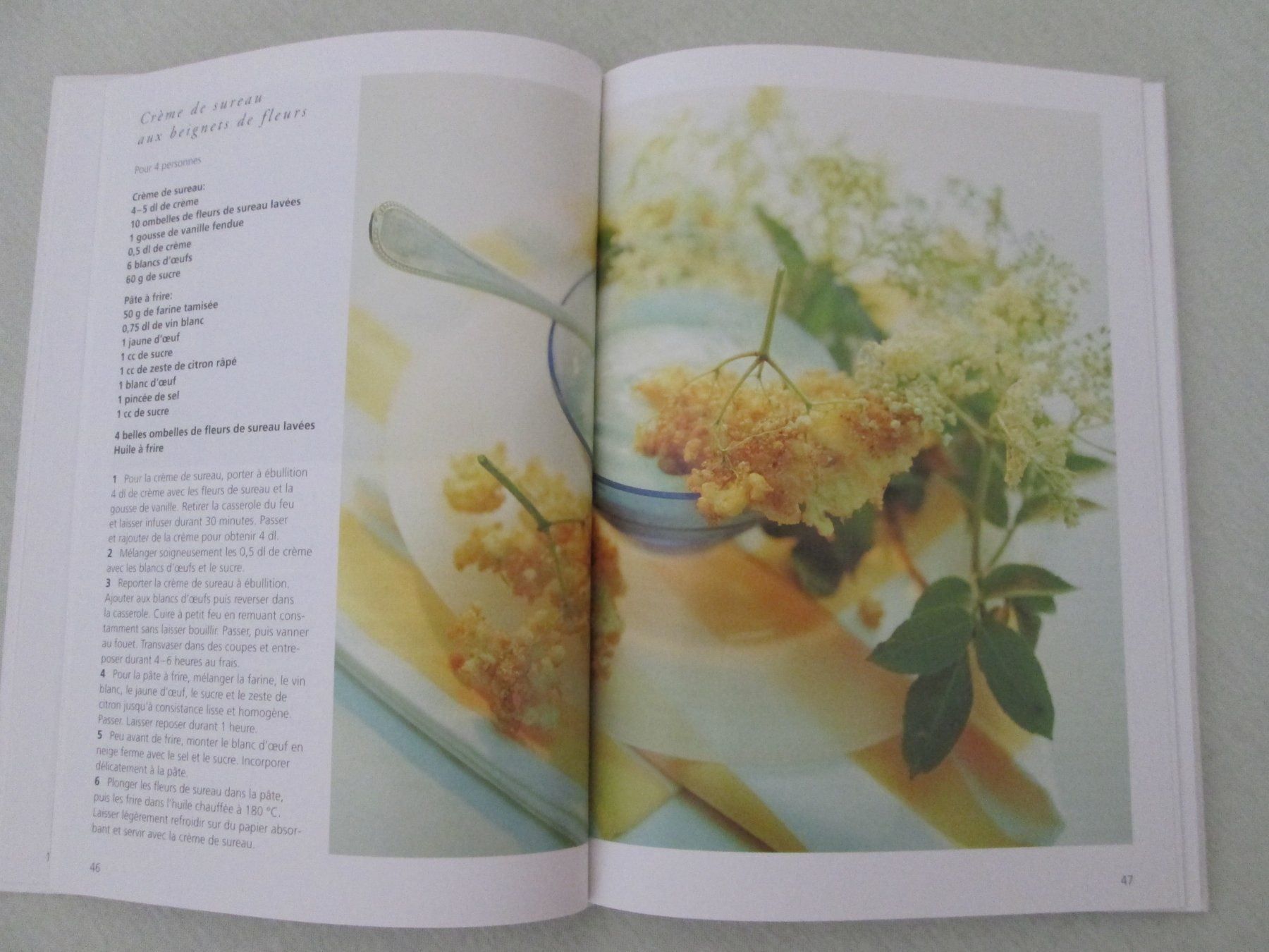 Libri: Le livre des desserts – Usato da Neuchâtel venduto da Dualseele 3